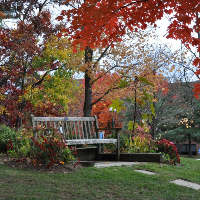 Autumn in New Hampshire